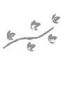 logo iguana crossing sm